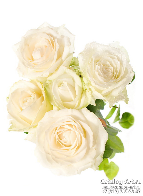 White roses 20